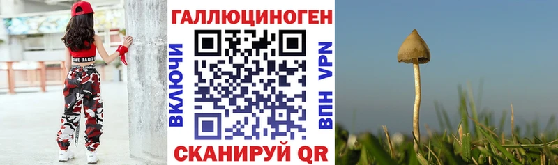 где купить наркоту  Грязи  Псилоцибиновые грибы прущие грибы 