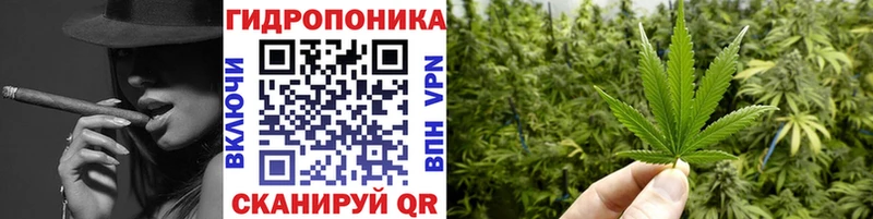 сколько стоит  Грязи  KRAKEN вход  МАРИХУАНА Amnesia 